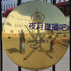 夜月直播吧app