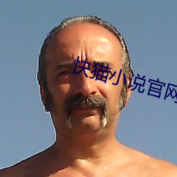 快猫小说官网