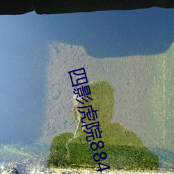 四影虎院8844mc