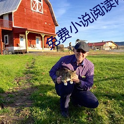 免费小说阅读网