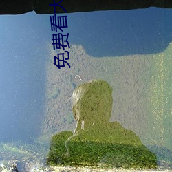 suncitygroup太阳集团--官方网站