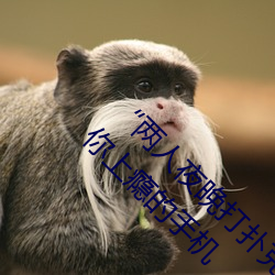 “两人夜晚打扑克剧烈运动又疼又叫”:一款让你上瘾的手机 （砖头）