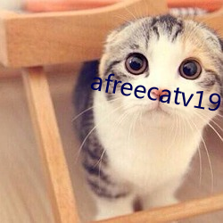 afreecatv19+破解