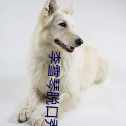 李雪(xuě)琴脱口秀