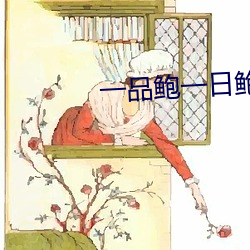 一品鲍一日鲍品鉴天下