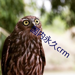 國內永久crm