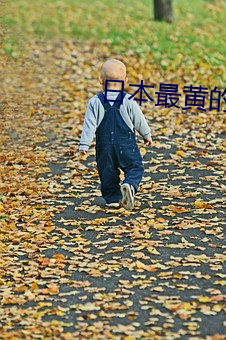 vwin·德赢(中国) - 官方网站