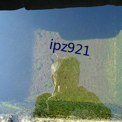 ipz921 （越俎代谋）