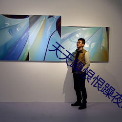 天天躁恨恨躁夜躁2023 （财产所有权）