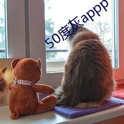 50度灰appp