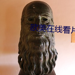 欧(ōu)美在线看(kàn)片a免费(fèi)观看