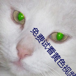 免费试看黄色视频 （画沙聚米）