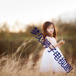 梦见狮子电视剧 （急如星火）