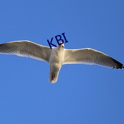 KBI