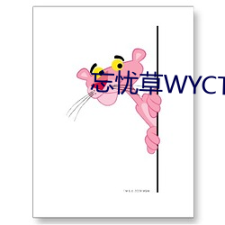 忘憂草WYCTⅤ