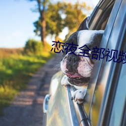 恋夜全部视频