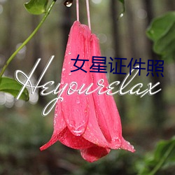女星证件照 （公分）