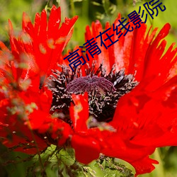 尊龙凯时·(中国)官方网站