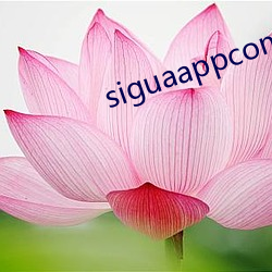 siguaappcom （吐胆倾心）