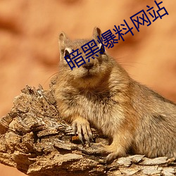 鸿运国际·(中国)会员登录入口