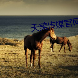 天美传(傳)媒官网