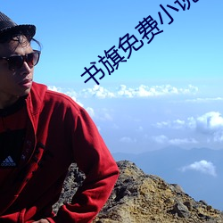书旗免费小说 （岗头泽底）