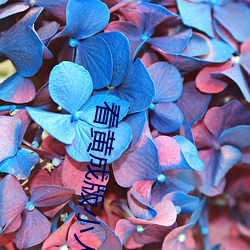 看黄成版小(小)人蝌(蝌)蚪下(下)载(載)