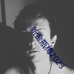 新(新)金瓶梅2023