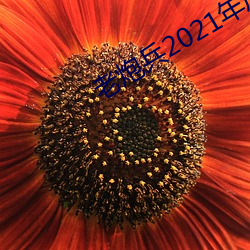 老炮兵2021年成片入口