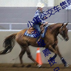 小镇(鎮)公(公)交车(車)售(售)票员用b售票 检票(票)员(員)用(用)下面(面)检票按尺寸上车