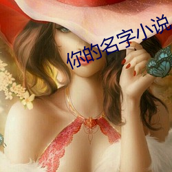 你(你)的名字(字)小说