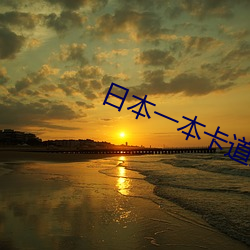 日本一本卡道免費