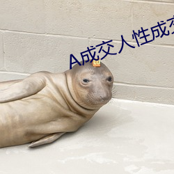 A成交人性成交