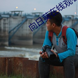 向日(rì)葵(kuí)在线(xiàn)观(guān)看