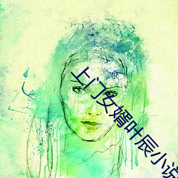 上門女婿葉辰小說