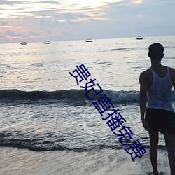 贵妃直播免费 （游荡不羁）