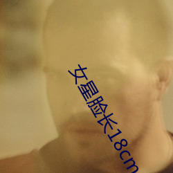 女星脸长18cm