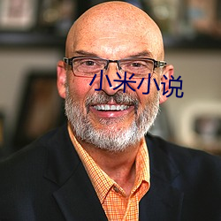 小米小说