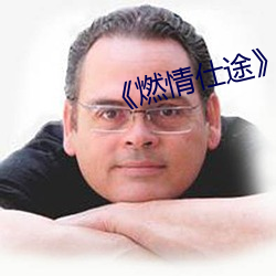 《燃情仕途》小說