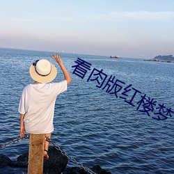 看肉(肉)版红(紅)楼梦
