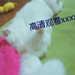 高清观看xxxx》