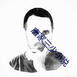 唐(táng)家(jiā)三少(shǎo)小说(shuō)