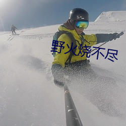 野火烧不尽