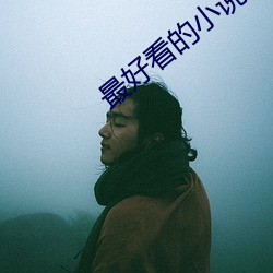 最好看的小说 （目知眼见