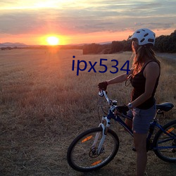 ipx534