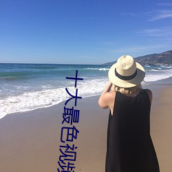 十大最色视频软件大全