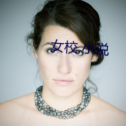 女(女)校 小说