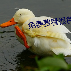 vwinӮ(й) - ٷվ