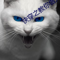 米乐M6·(中国)官方网站