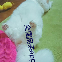 全国(國)品茶app